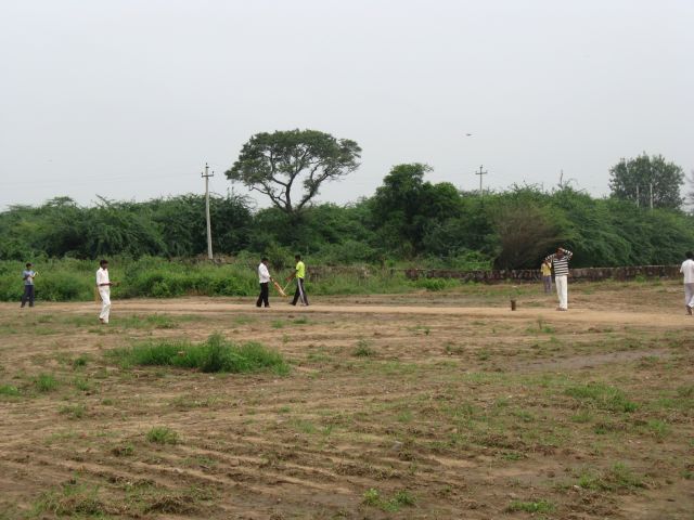 sunday morning cricket